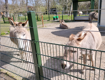 Exkursion Tierpark Lange Erlen Basel 2